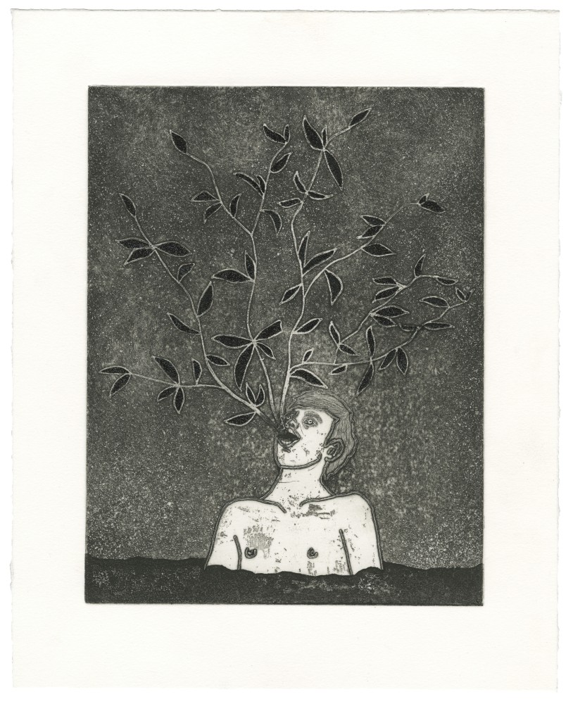 Felipe Baeza
Ahuehuete en La Noche, 2017
Etching with aquatint, open bite, sugarlift and glitter on paper
14.5&amp;nbsp;x 11.5 inches