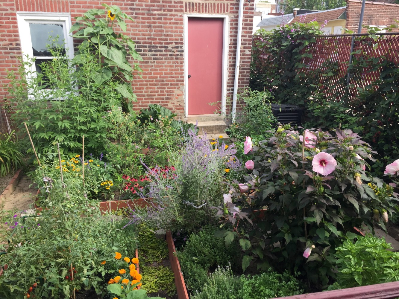 Jan's Garden: A Living Muse by Scott Noel