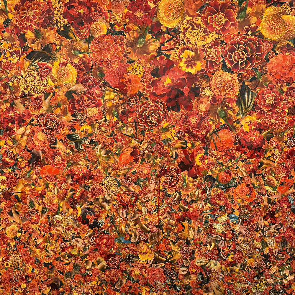 Rebecca Segall, Marigold Marigold 60&quot; x 60&quot;  Cut Paper On Panel  $8,600