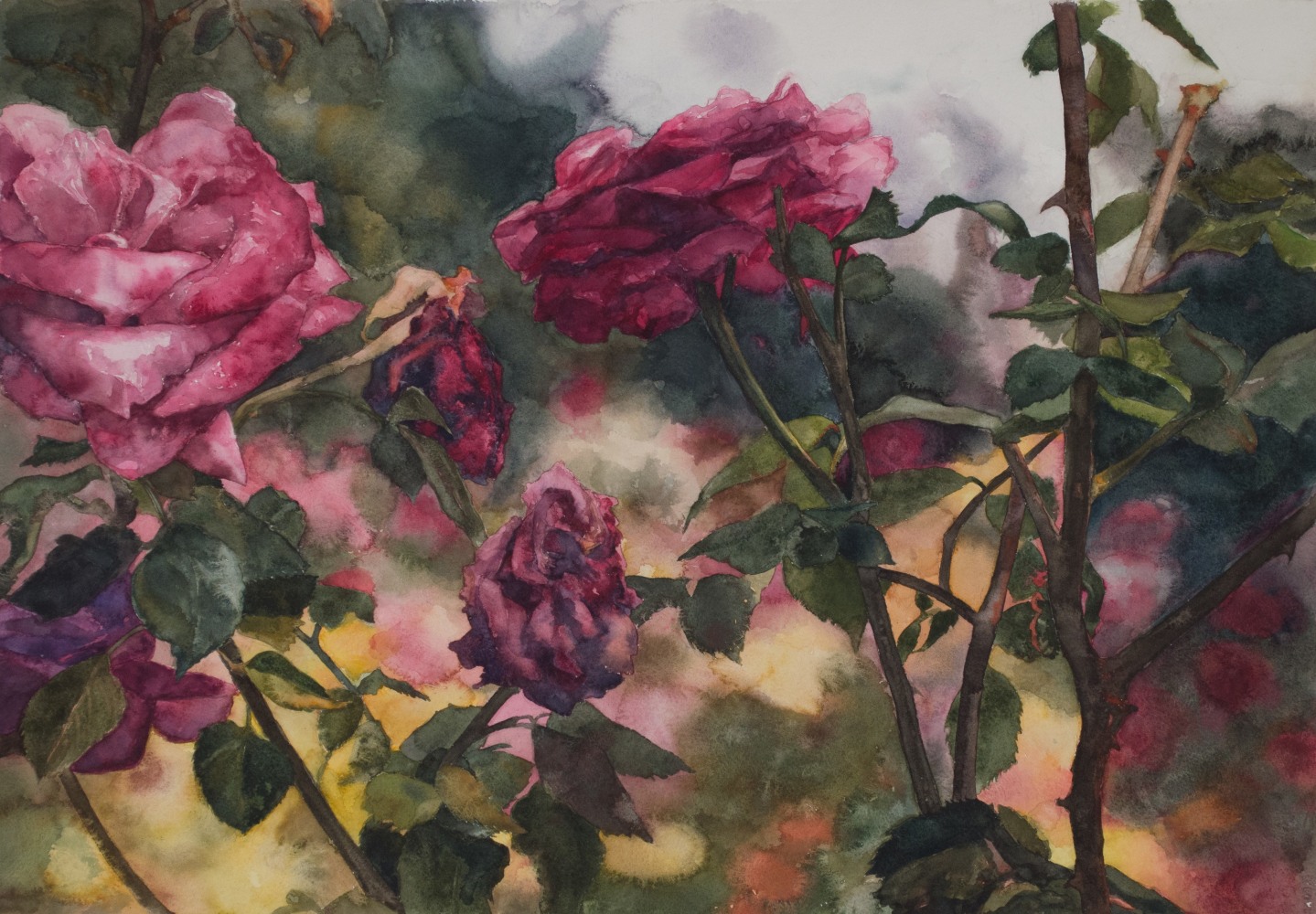 Eileen Goodman, Roses In Front  20.75&quot; x 29&quot;  Watercolor