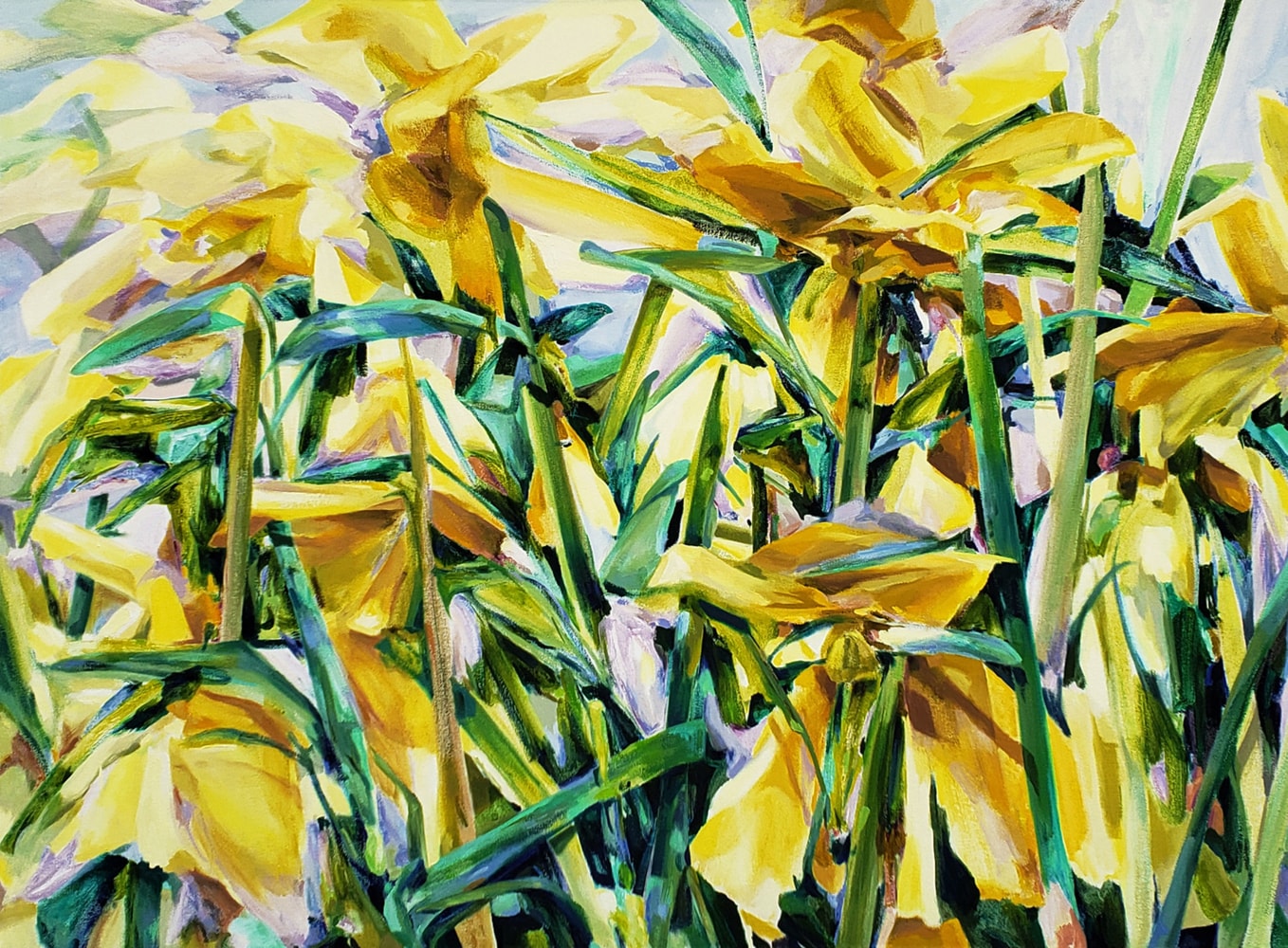 Naomi Chung, Yellow Daffodil   42″ x 55″  Oil On Canvas