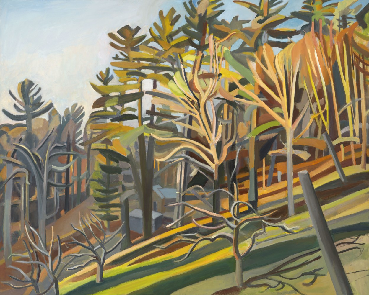 Martha Armstrong, Late Sun  48&quot; x 60&quot;  Oil On Canvas