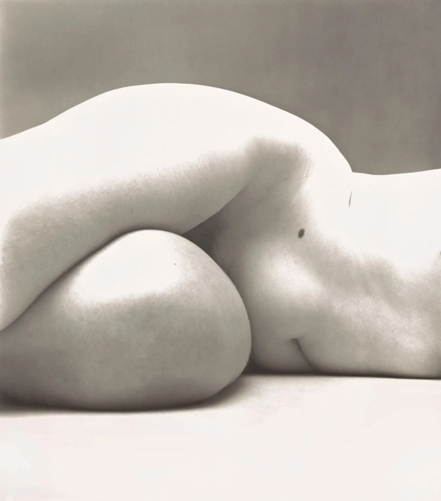 Irving Penn, Nude 67, 1949-1950

gelatin silver print, 40.1 x 35.5 cm