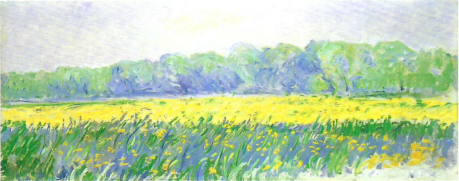 Claude Monet, Field of Irises in the Morning, c.1887

oil on canvas, 40 x 100 cm