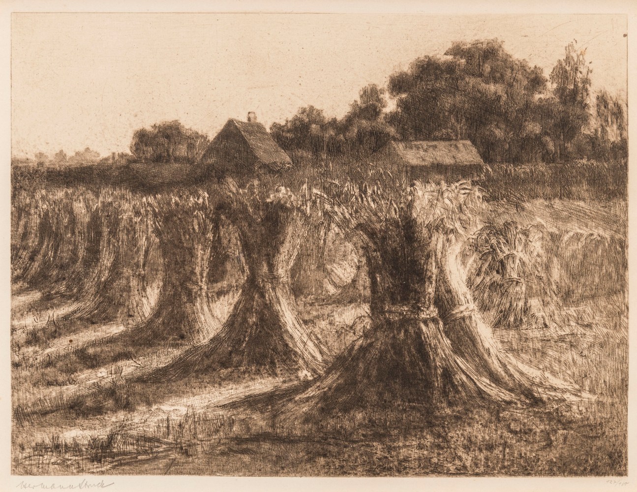 Hermann Struck, Wheat sheaves, 1900
Etching, 12.4 by 9.33 inches
(31.5 by 23.7 cm)
Framed: 21 1/2 x 17 1/4 inches
Edition 127 of 150
(Inv# HS3109)