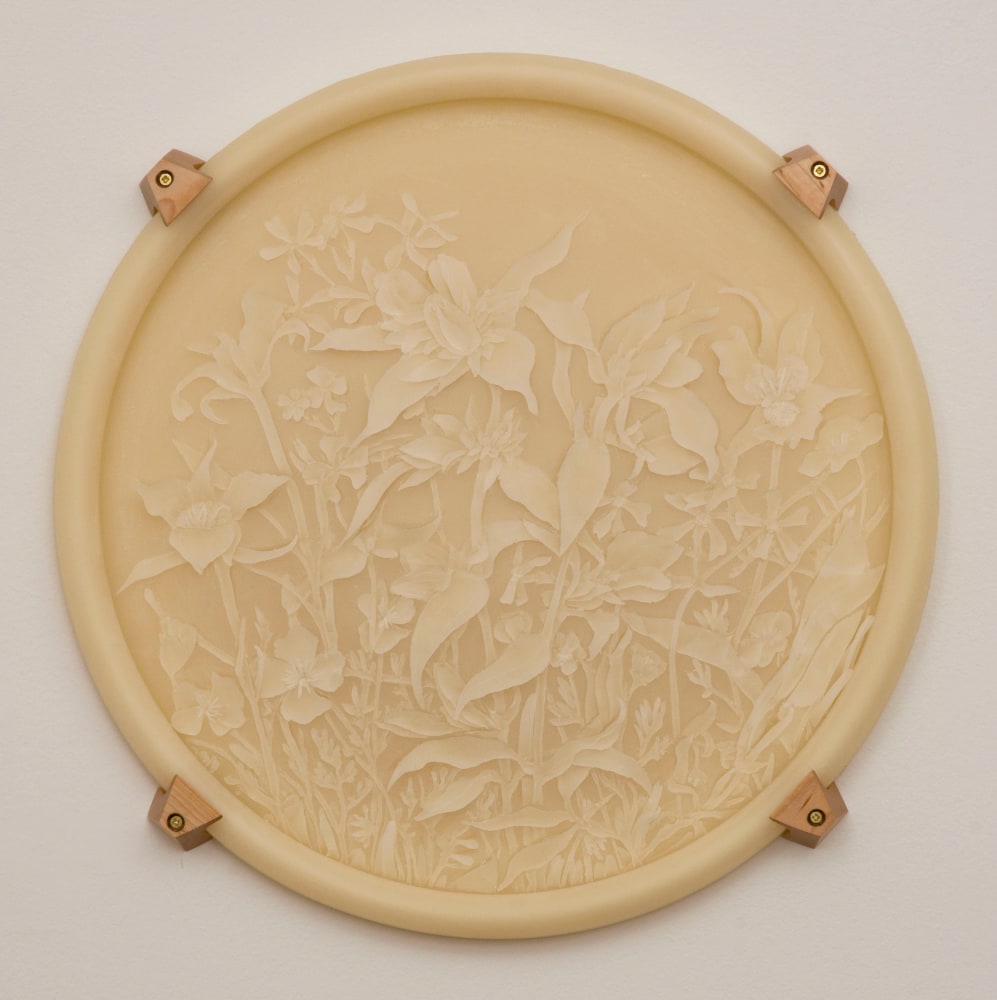 Jolynn Krystosek, Untitled, 2008

wax and wood, 19.5 by 19.5 inches

&amp;nbsp;