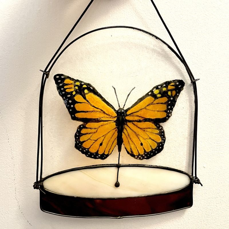 Monarch in a Glass Bell&amp;nbsp;

Glass&amp;nbsp;

10&amp;quot;x6&amp;quot;x0&amp;quot;