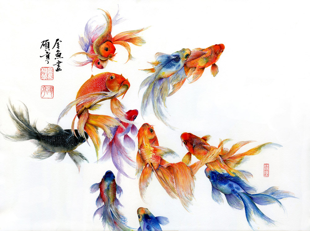 Goldfish
Watercolor
38&amp;quot; x 30&amp;quot;
2016
&amp;nbsp;
