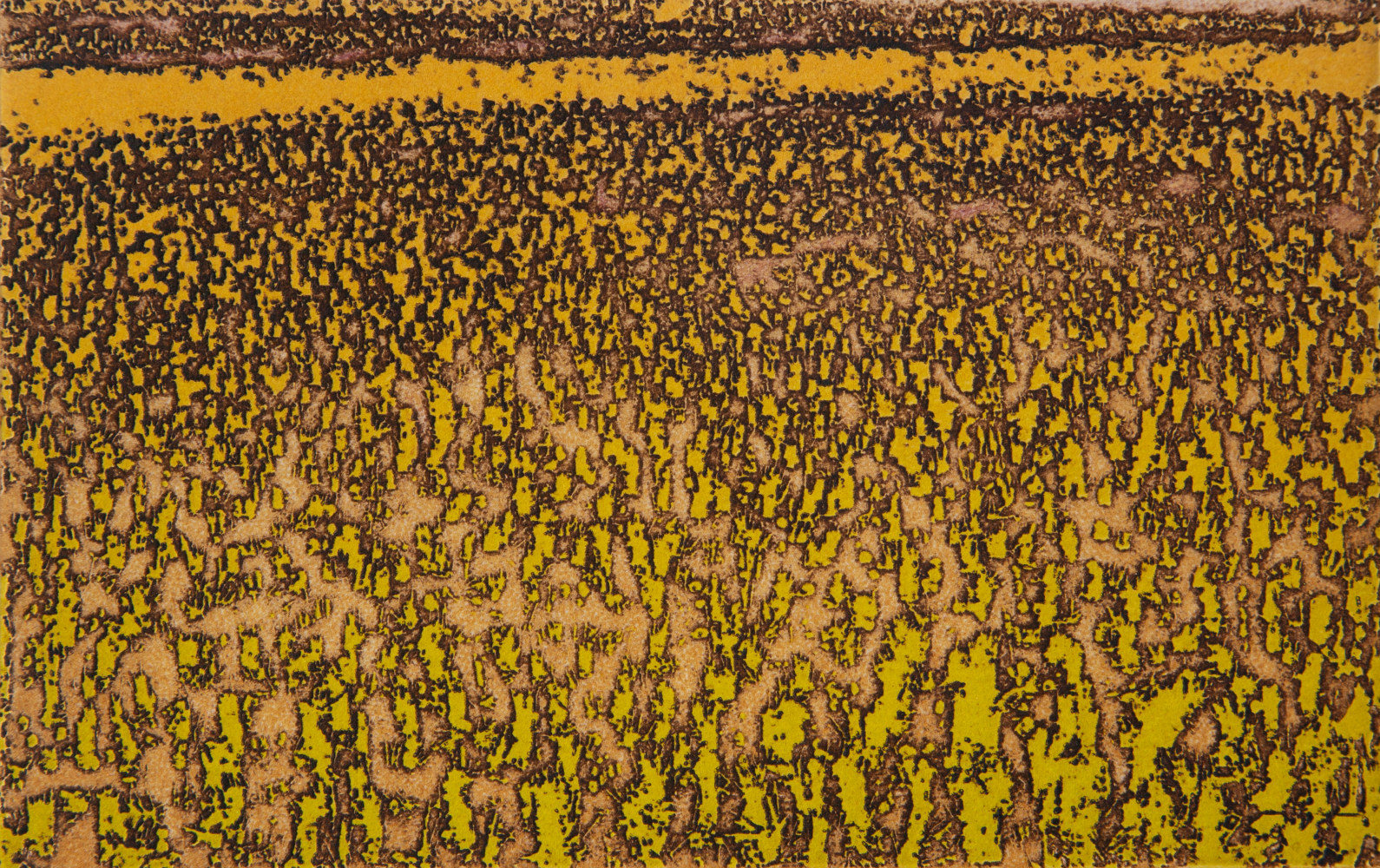 Untitled&amp;nbsp;| 2023
Etching on zinc
4.5&amp;Prime; x 7&amp;Prime; | Framed: 15&amp;quot; x 18.5&amp;quot;
TG 5028
Edition of 9
&amp;nbsp;