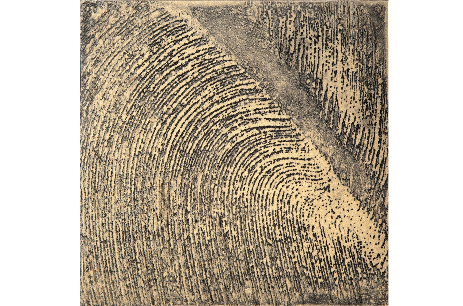 Untitled&amp;nbsp;| 2023
Etching on copper
6&amp;Prime; x 6&amp;Prime; | Framed: 15 3/4&amp;quot; x 15 5/8&amp;quot;
TG 5026
Edition of 8