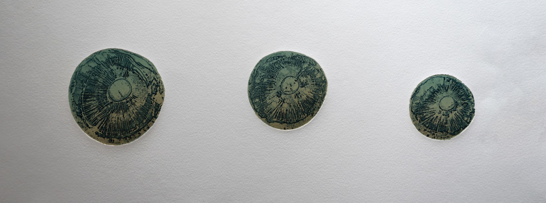 Untitled&amp;nbsp;| 2024
Etching on copper
11&amp;Prime; x 22.5&amp;Prime; | Framed: 13 1/2&amp;quot; x 24 13/16&amp;quot;
TG 5044
Edition of 6
&amp;nbsp;