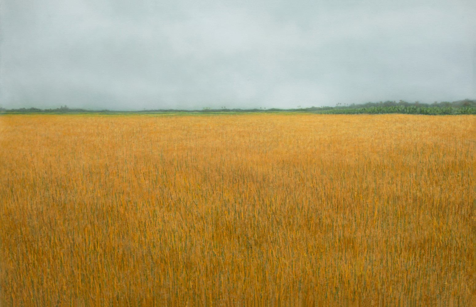 Untitled&amp;nbsp;| 2022
Oil on canvas
49&amp;Prime; x 76&amp;Prime;
TG 4560