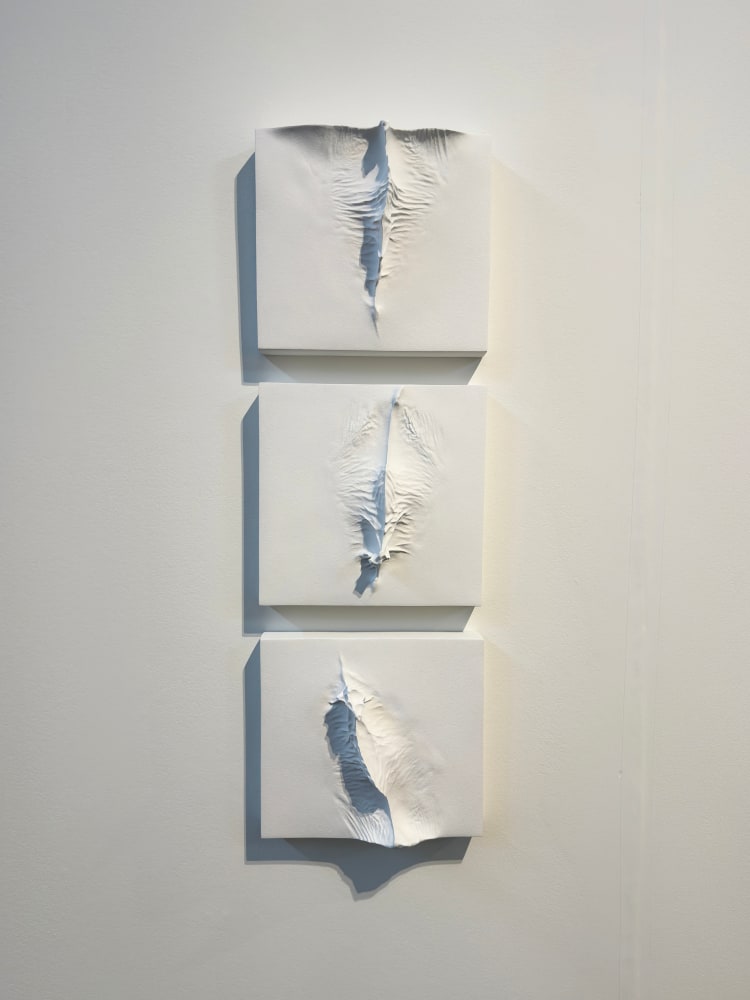 Alwar Balasubramaniam
Traces | 2023
Fiberglass and acrylic
40&amp;quot; x 13.5&amp;quot; x 3&amp;quot; (In 3 parts)
TG 5006