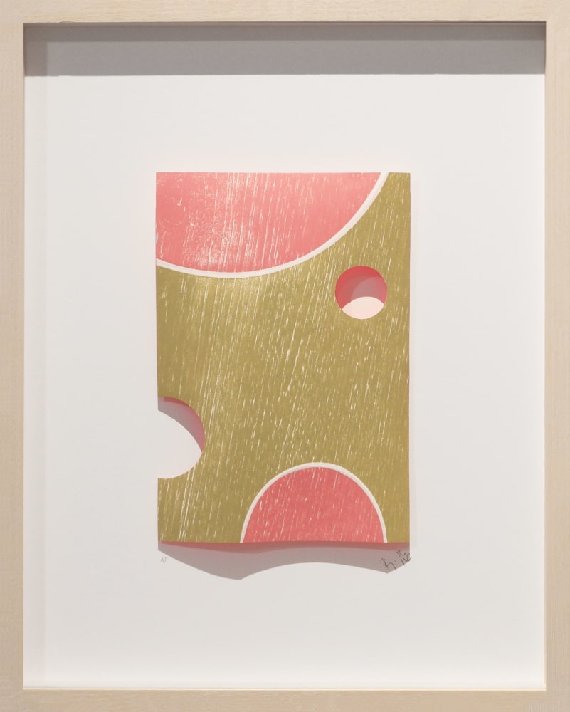 Melon,&amp;nbsp;2020
Three-dimensional woodcut print and acrylic
18.5&amp;Prime; x 14.5&amp;Prime; x .75&amp;Prime;
TG# 4318