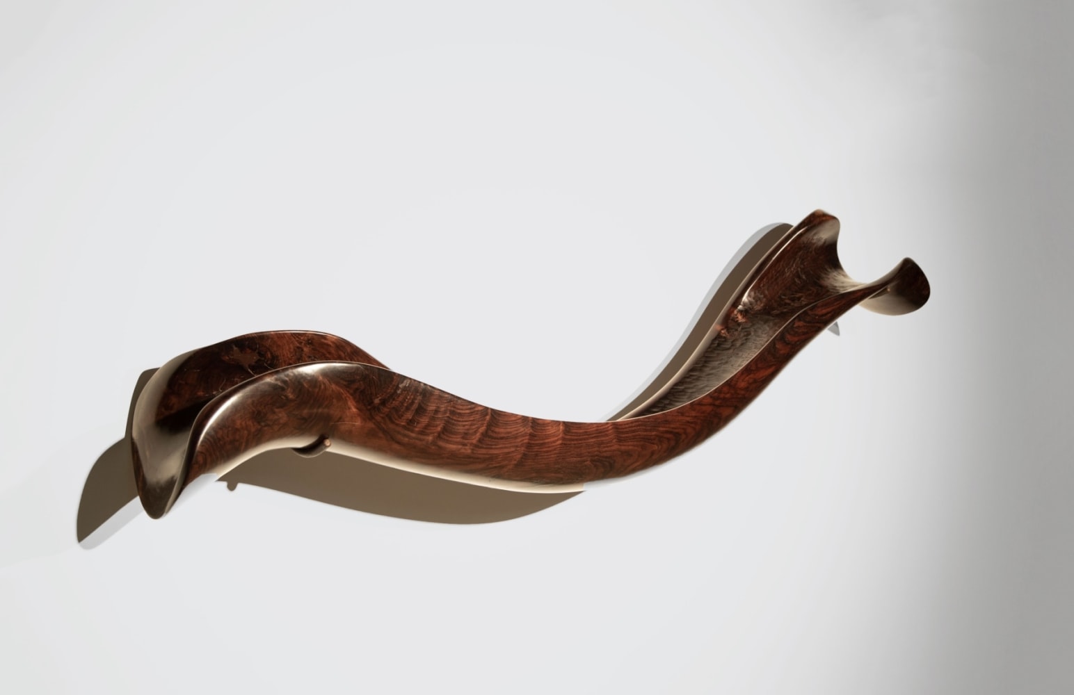 Elegy, 2021
Rosewood
28&amp;Prime; x 88&amp;Prime; x 16&amp;Prime;
TG# 4359