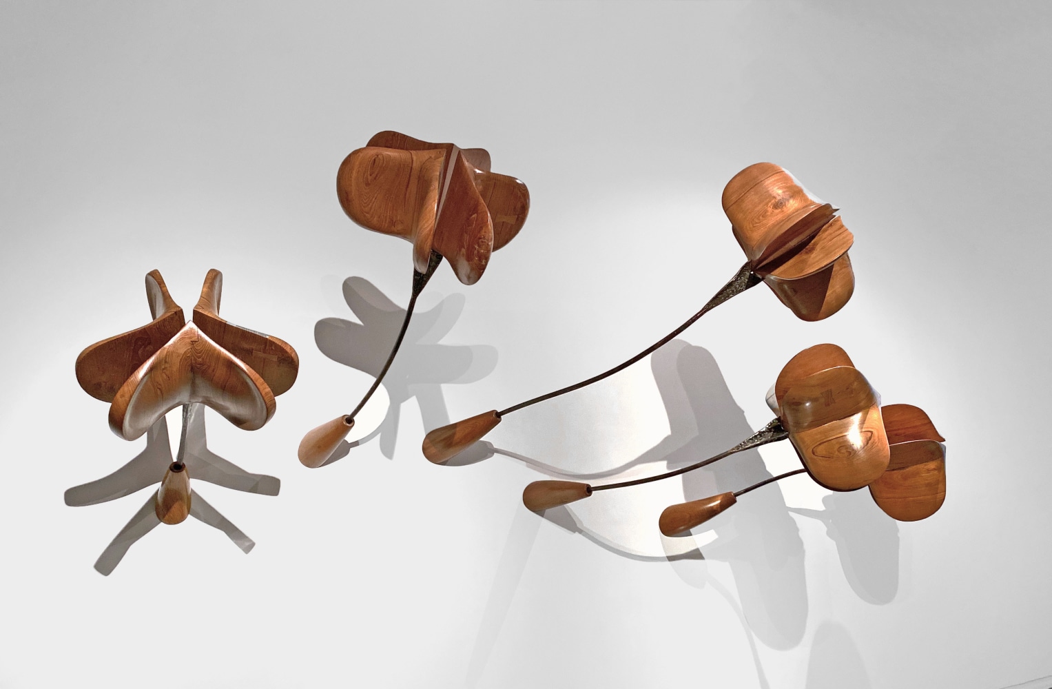 Midmorning blooms,&amp;nbsp;2020
Teak wood and steel
89&amp;Prime; x 113&amp;Prime; x 50&amp;Prime;
TG# 4200