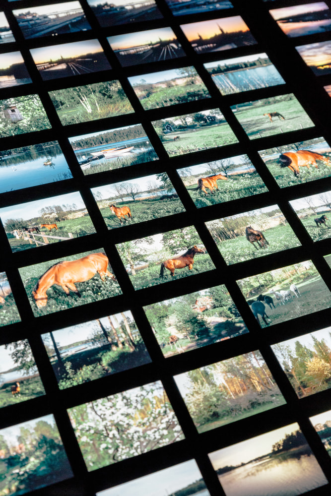 Installation view of images by Peter Fischli David Weiss