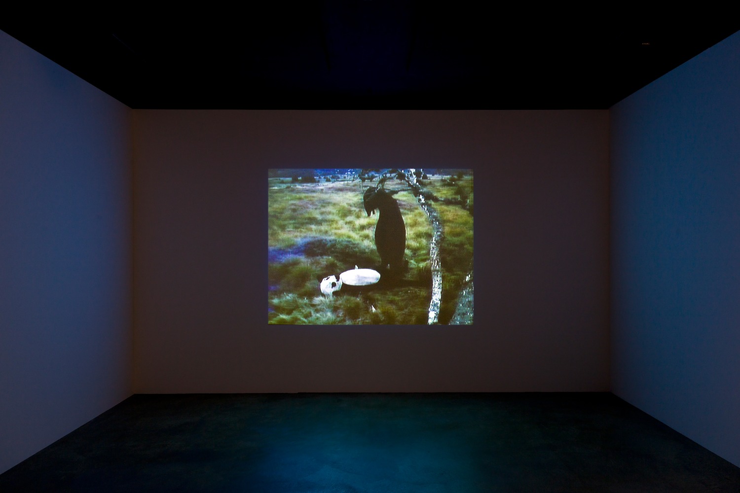 Installation view of video works by Peter Fischli and David Weiss