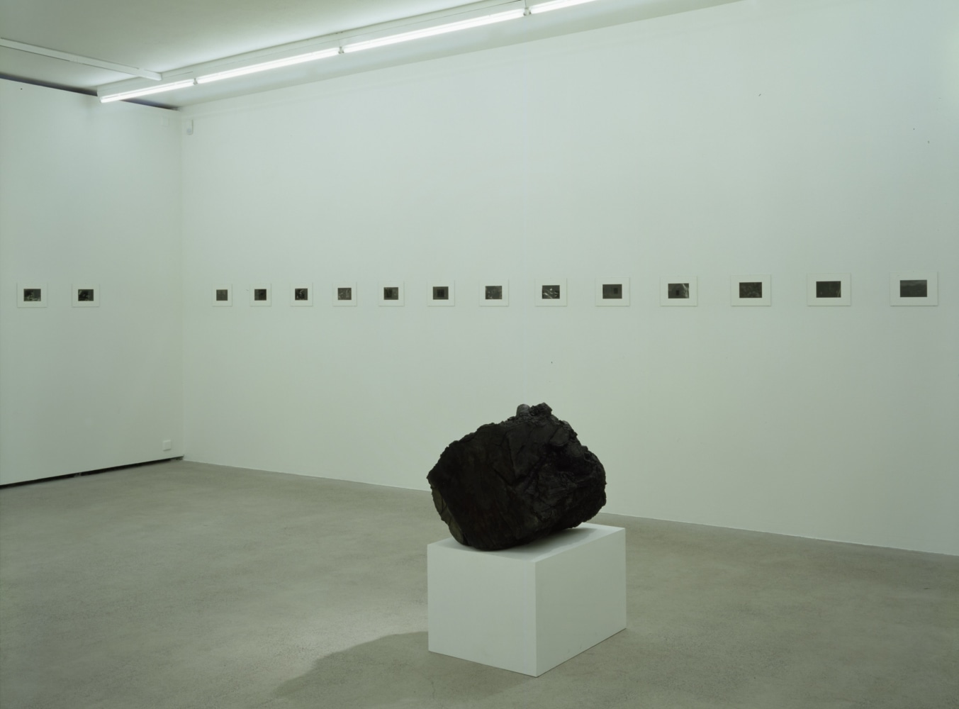 Installation view of Peter Fischli David Weiss photography and sculpture exhibition
