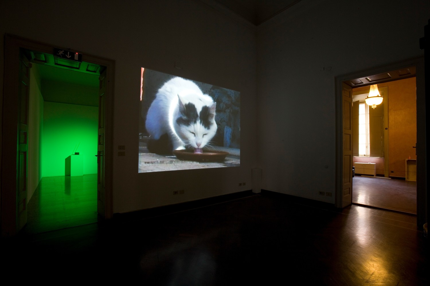 Installation view of sculptures by Peter Fischli and David Weiss