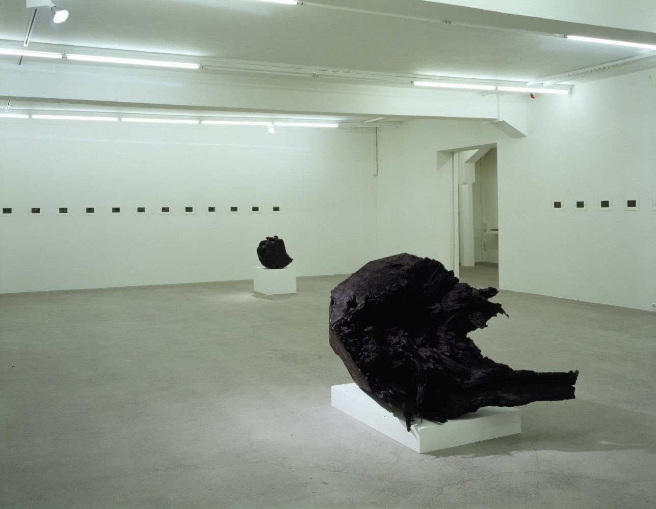 Installation view of Peter Fischli David Weiss photography and sculpture exhibition