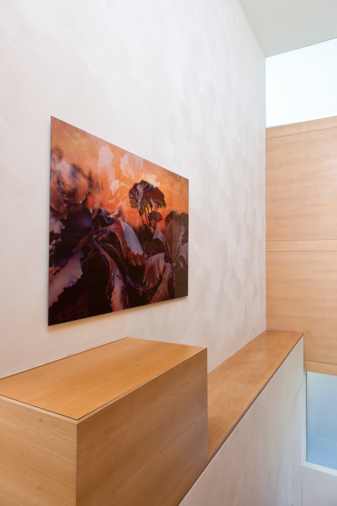 Installation view of sculptures and photographs by Peter Fischli and David Weiss