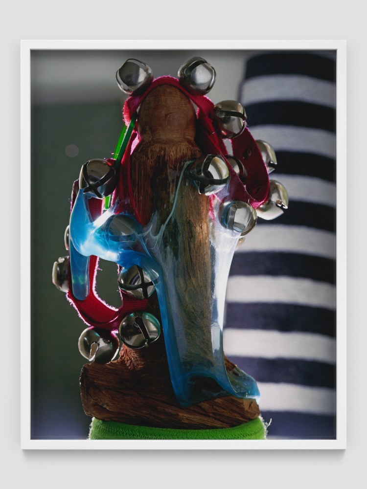 THE PET BELLS PICTURE (RGB)

2019

Chromogenic print on Kodak Endura paper, framed

Edition of 3&amp;nbsp;+ 1 AP

Image 57 x 45 cm / 22 1/2 x 17 3/4 inches

RODLA47270