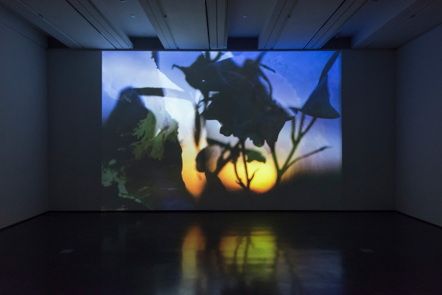 Installation view of sculptures by Peter Fischli and David Weiss and works by Wade Guyton