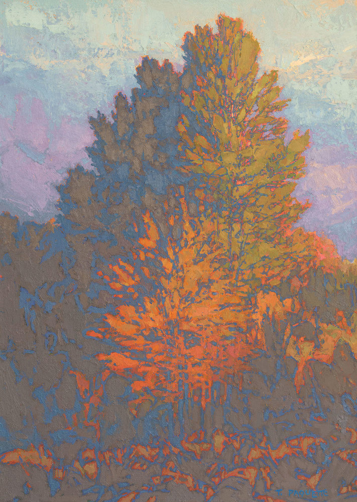 Thomas Paquette, Autumn Sunset On Aspen 28&quot; x 20&quot;  Oil On Linen