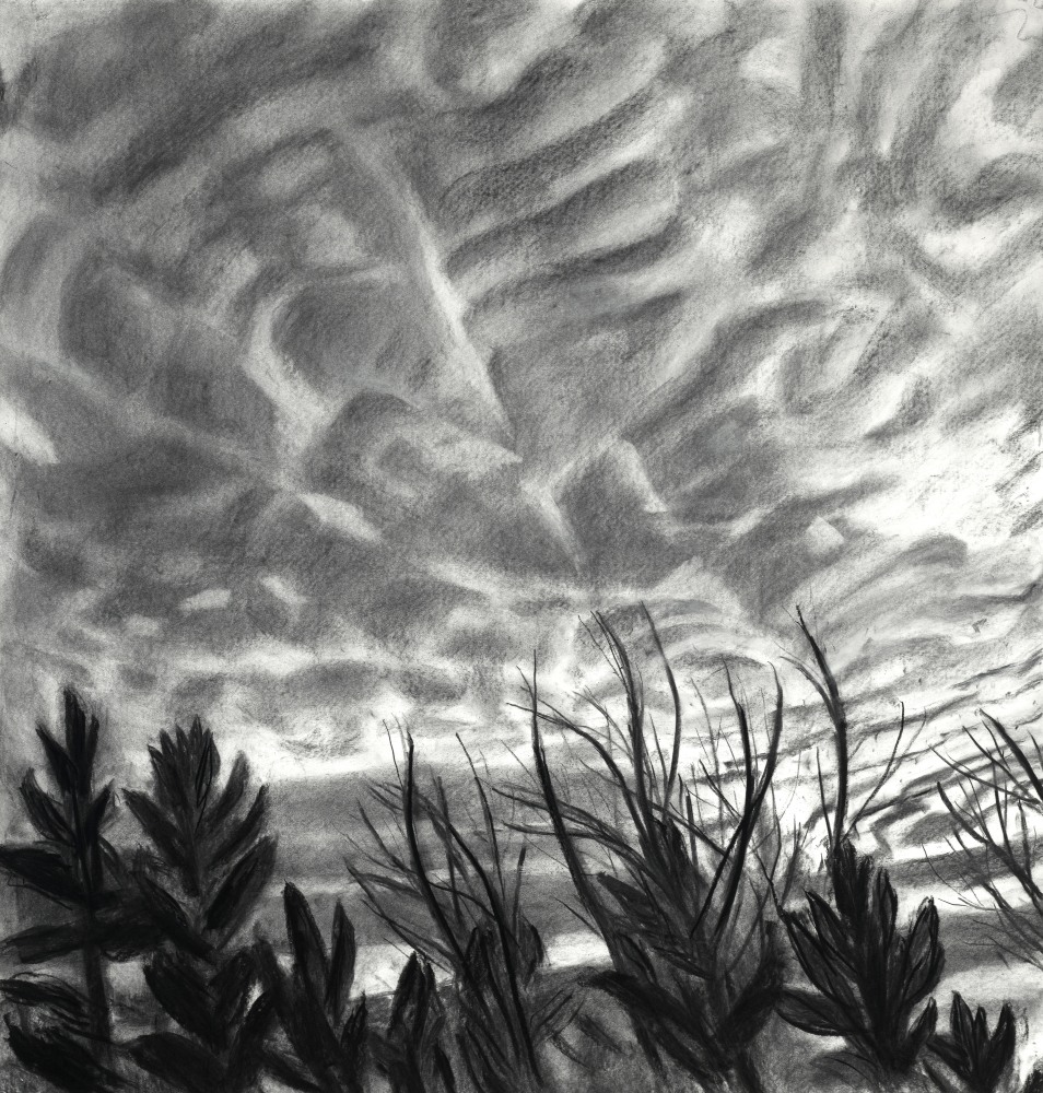 Mackerel Sky I  44&quot; x 42&quot;  Charcoal On Paper