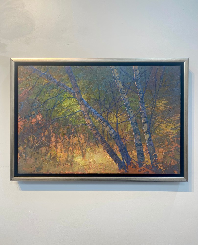 Birches Enveloped II  16&quot; x 24&quot;  Oil On Belgian Linen