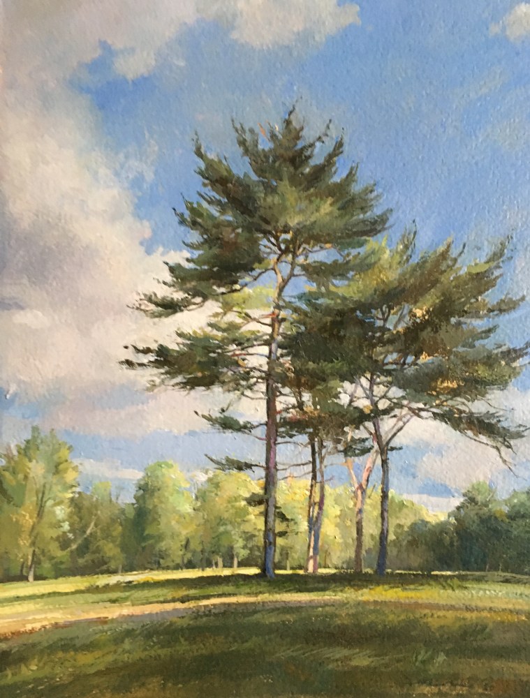 Pines In A Field 1  15.5&quot; x 11&quot;  Oil On Board