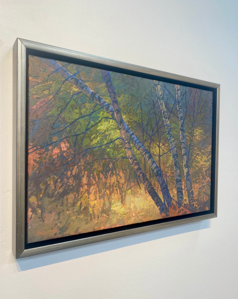 Birches Enveloped II  16&quot; x 24&quot;  Oil On Belgian Linen