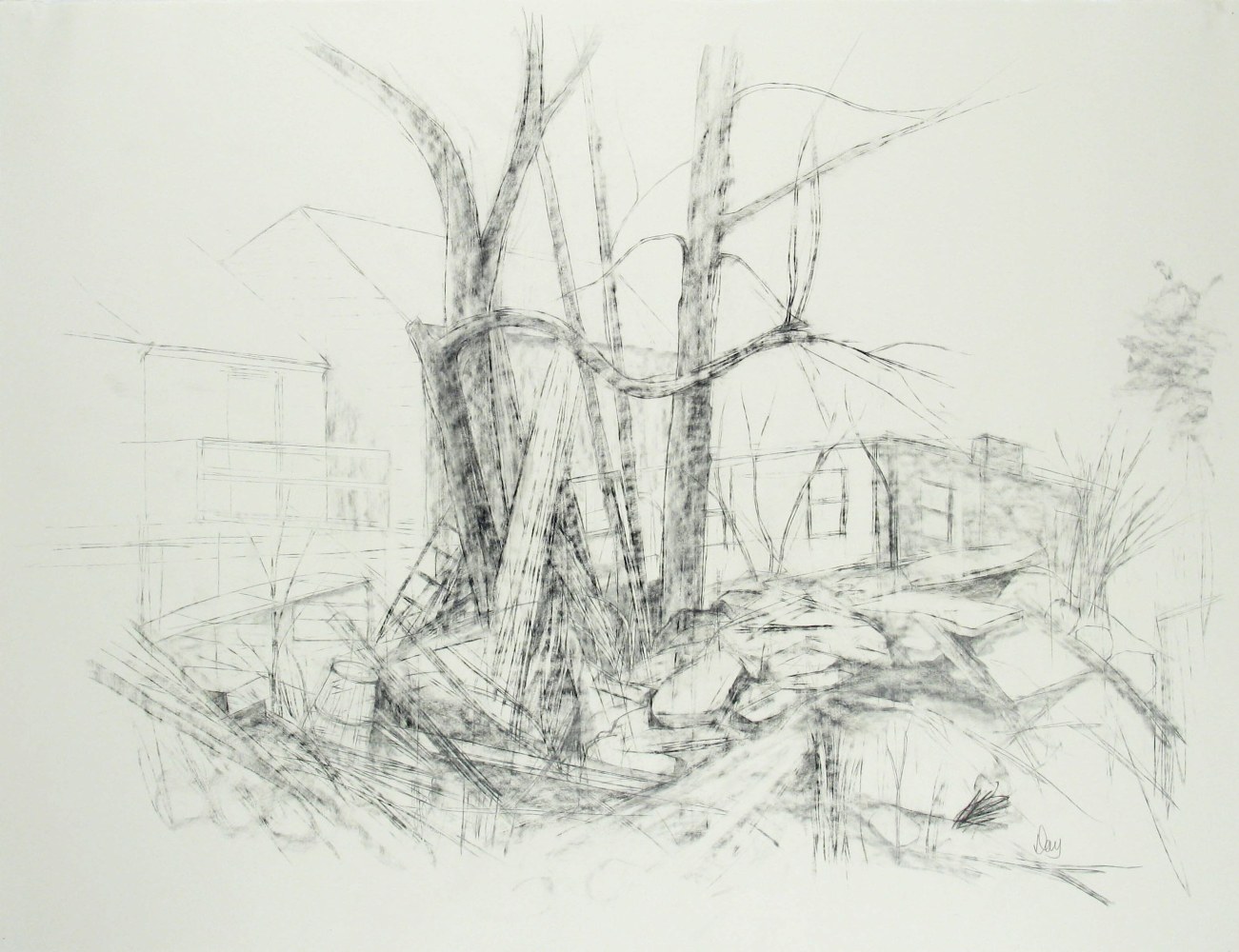 Related to &quot;Yggdrasil&quot;, c. 1991  19.75&quot; x 25.88&quot;  Graphite On Paper