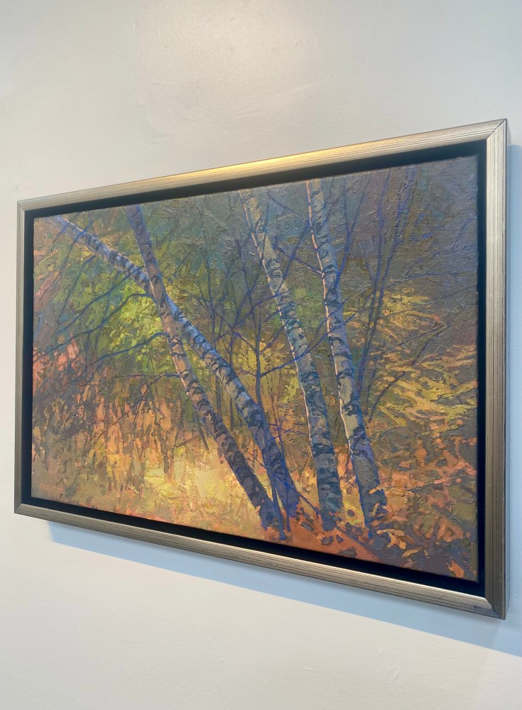 Birches Enveloped II  16&quot; x 24&quot;  Oil On Belgian Linen