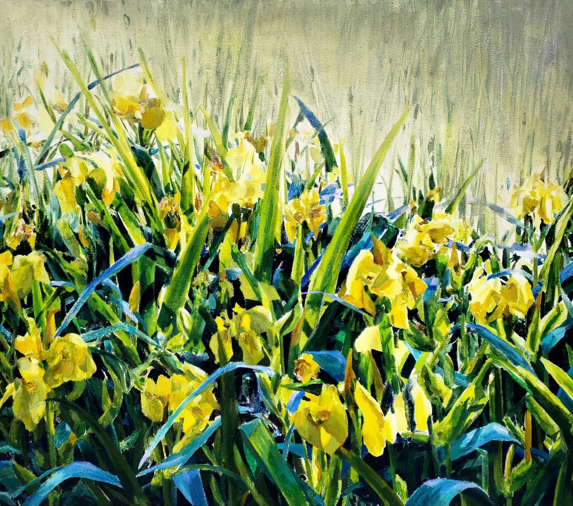 Yellow Water Iris  25&quot; x 27.75&quot;  Oil On Canvas