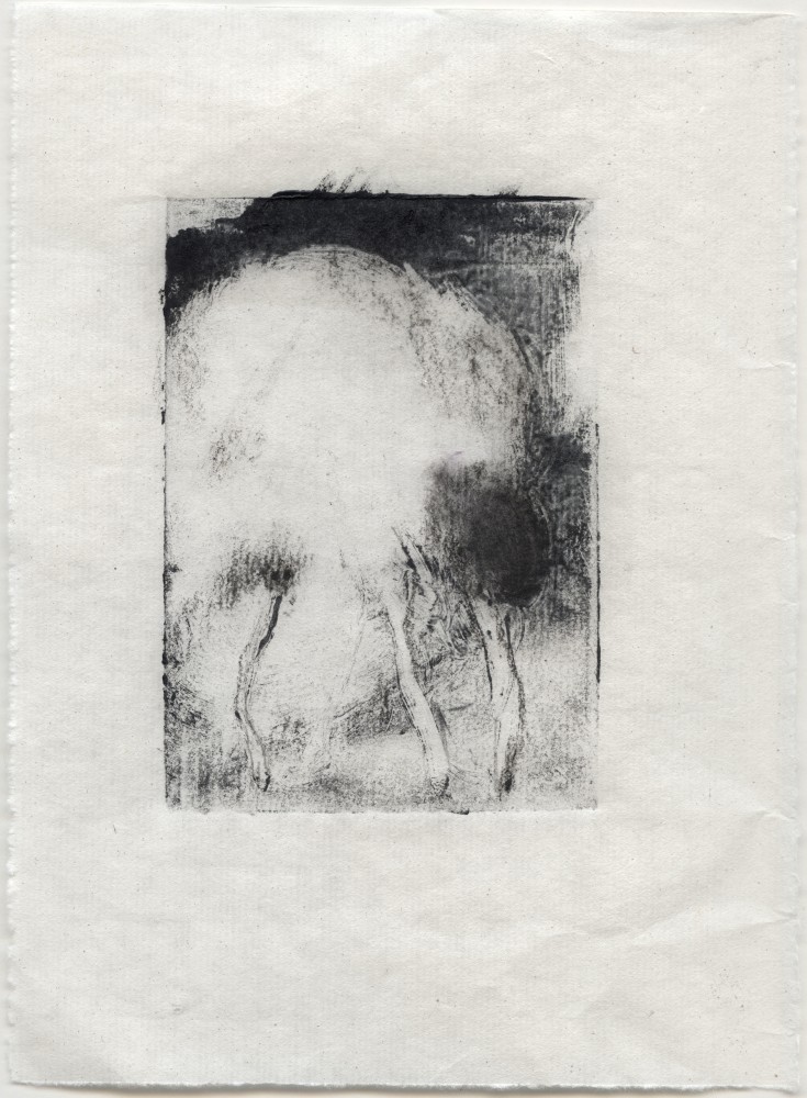 First Born  7&quot; x 5&quot;  Monotype