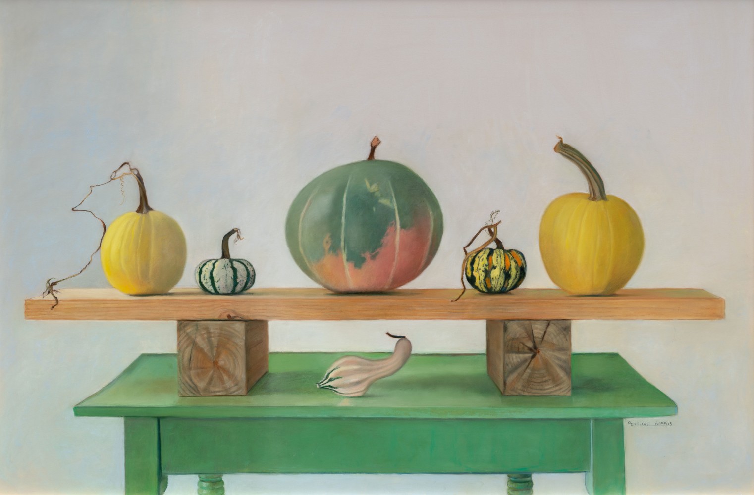Board Gourds  40&quot; x 60&quot;  Pastel On Paper