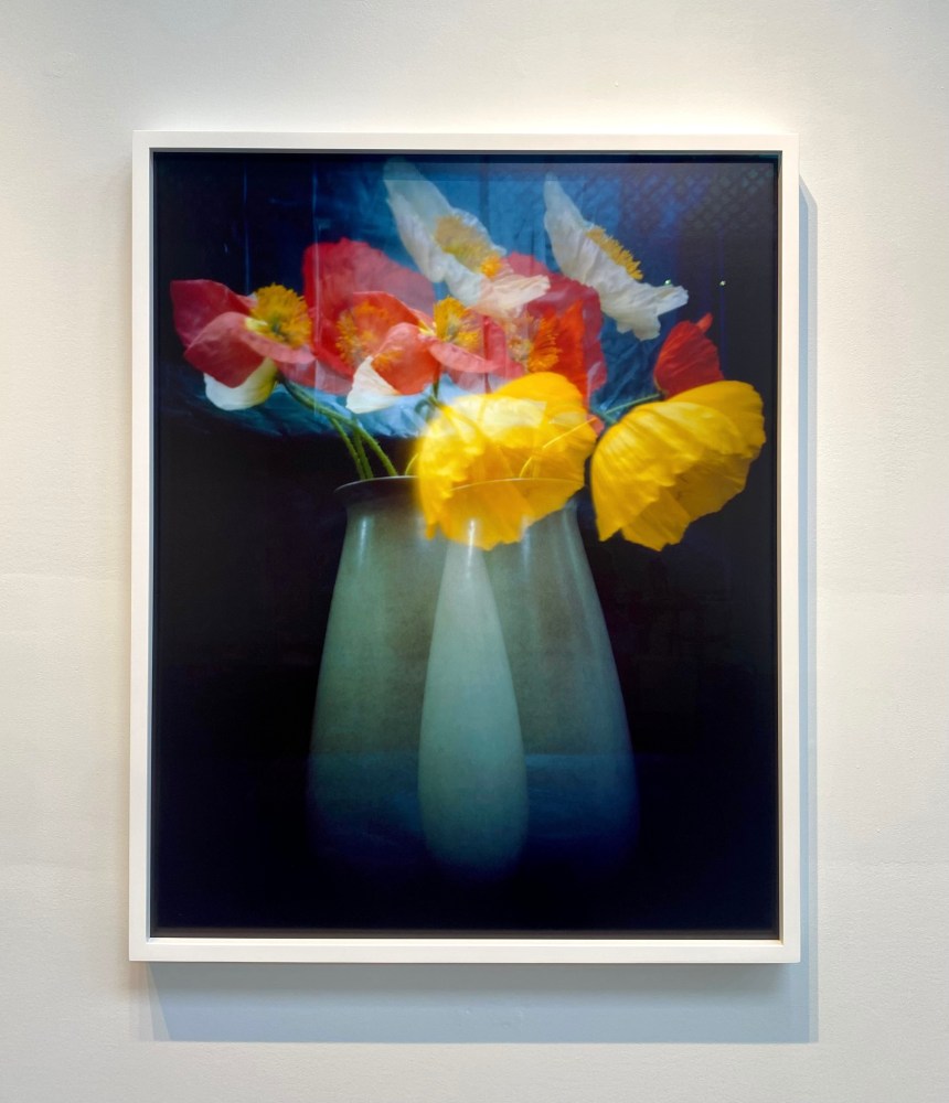 Kitty Bowe Hearty  Double Poppies 1/3  35&quot; x 28&quot; x 2&quot;  Archival Pigment Print  2025