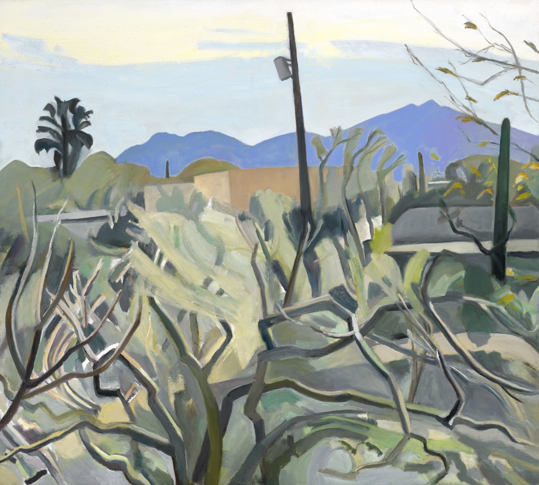 Palo Verde And Mesquite II  40&quot; x 40&quot;  Oil On Canvas