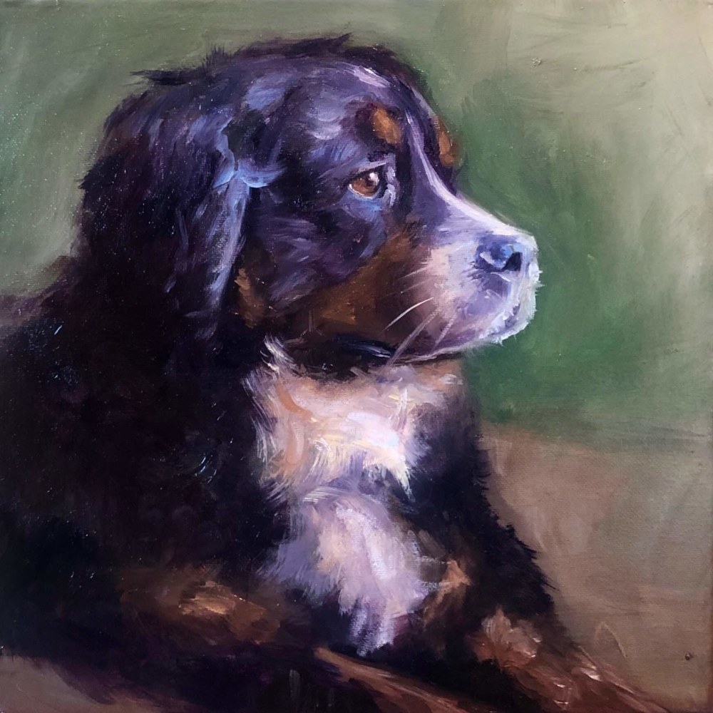 Brodie (SOLD)  12&quot; x 12&quot;  Oil On Canvas