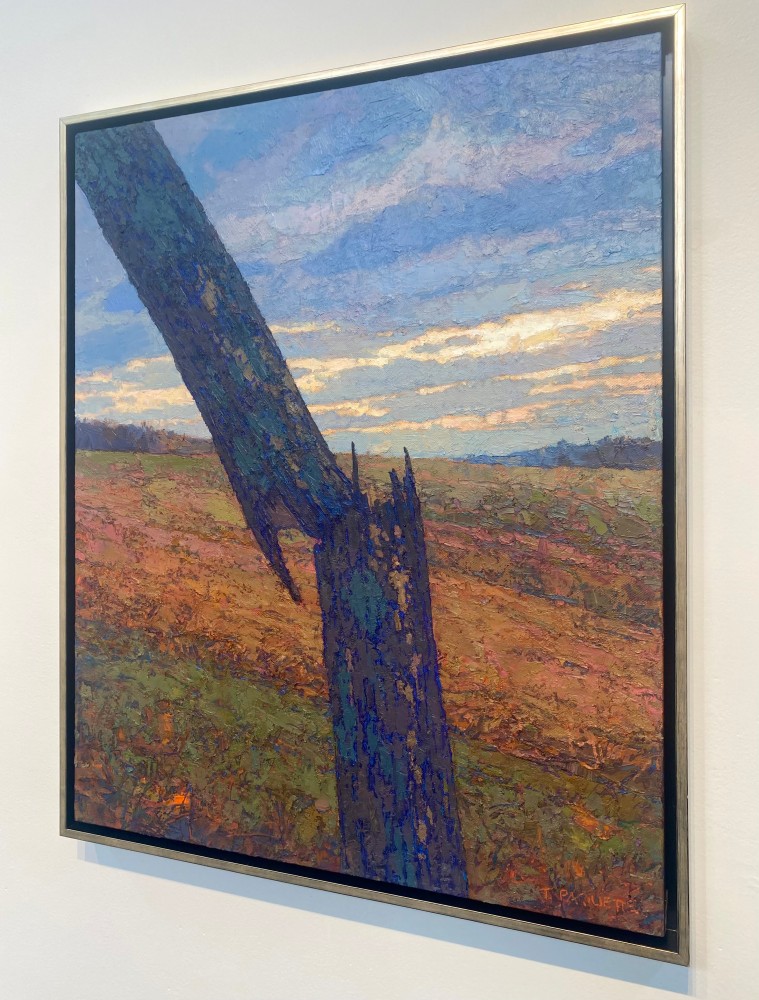 Broken Ash On Property Line  30&quot; x 24&quot;  Oil On Belgian Linen
