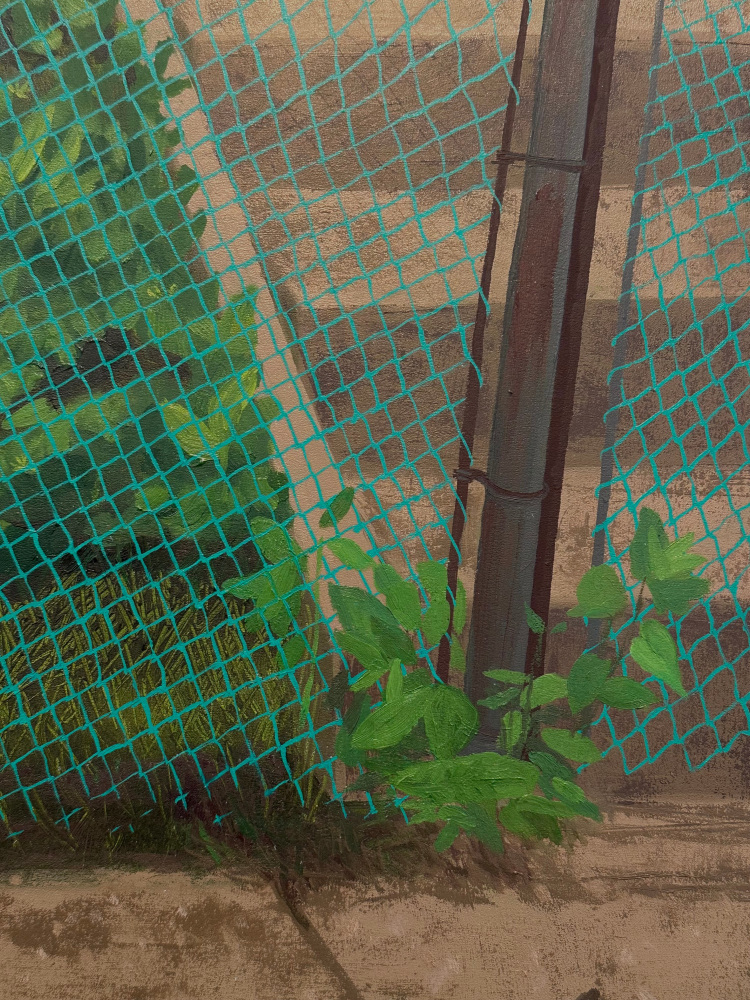 Green Fence  24” x 24”  Oil On Panel