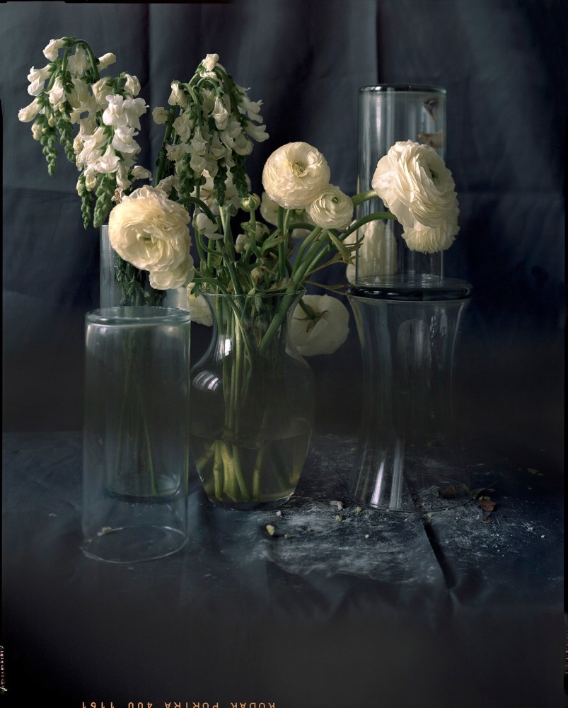 White Ranunculus And Snapdragons, I  46&quot; x 38&quot; or 32&quot; x 26&quot;  Signed Archival Pigment Prints  Edition of 5