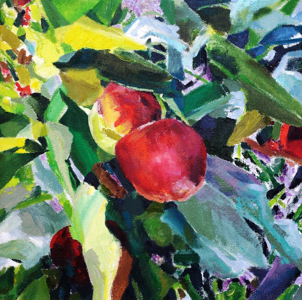 Naomi Chung, Apples II  12” x 12”  Oil On Canva