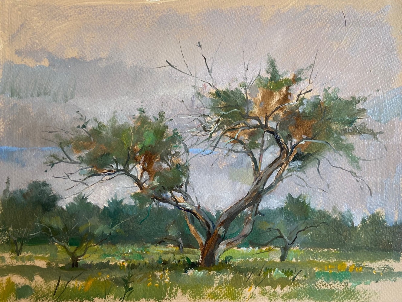 Cloudy Day  9&quot; x 23&quot;  Oil On Wood