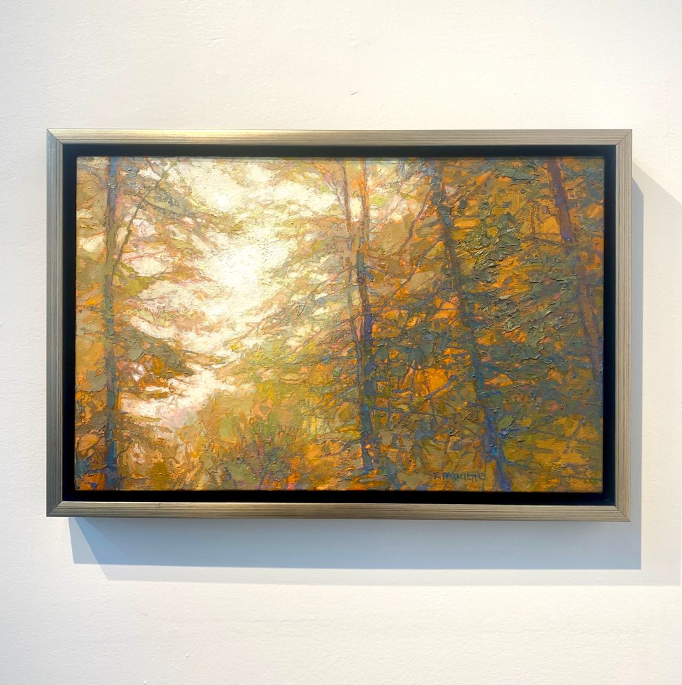 Forest In Misty Light  14&quot; x 22&quot;  Oil On Belgian Linen