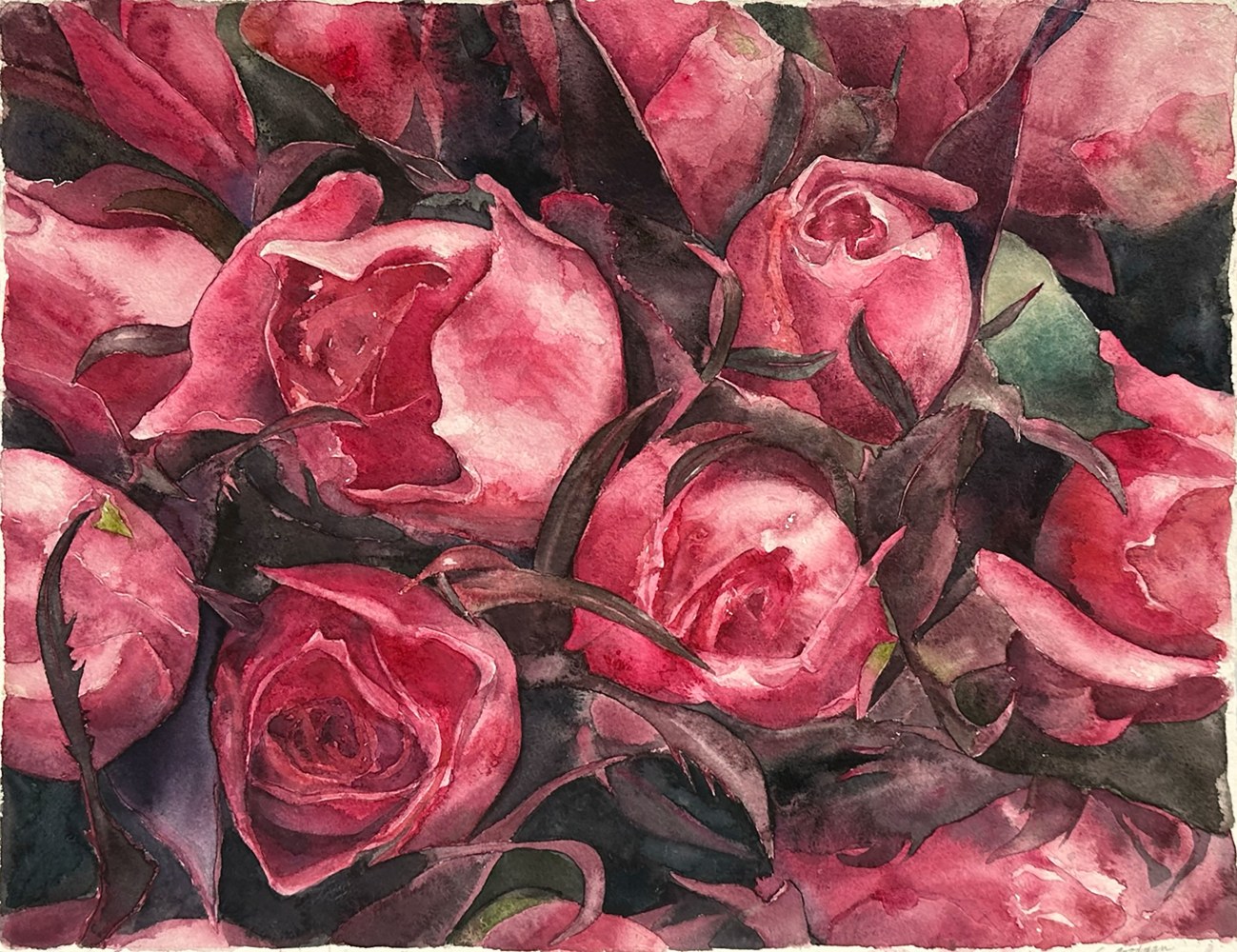 Rosebud Cluster  16.5” x 21”  Watercolor On D’Arches Paper