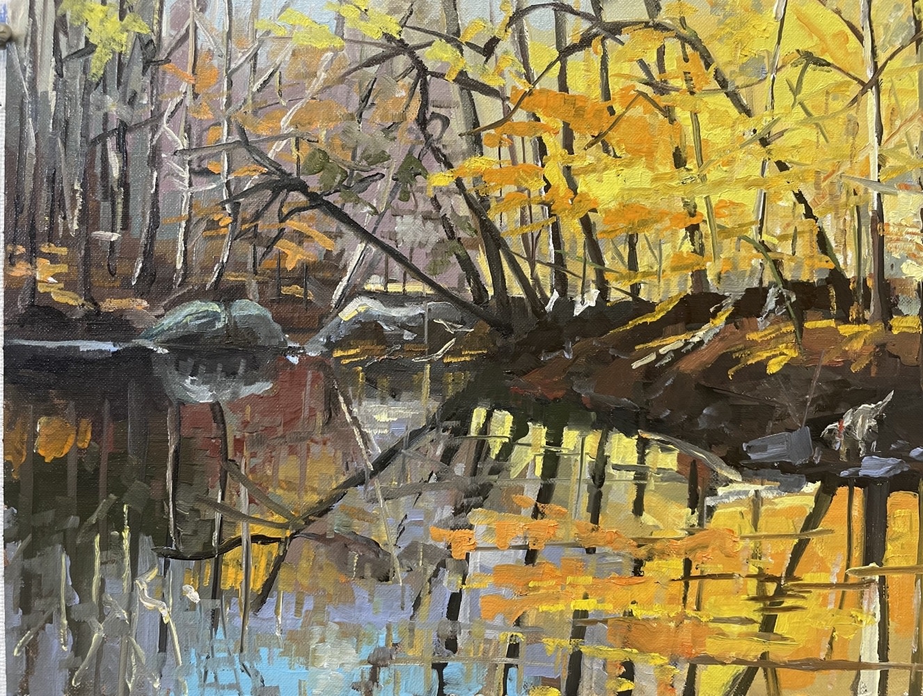November Glow  12&quot; x 16&quot;  Oil On Board