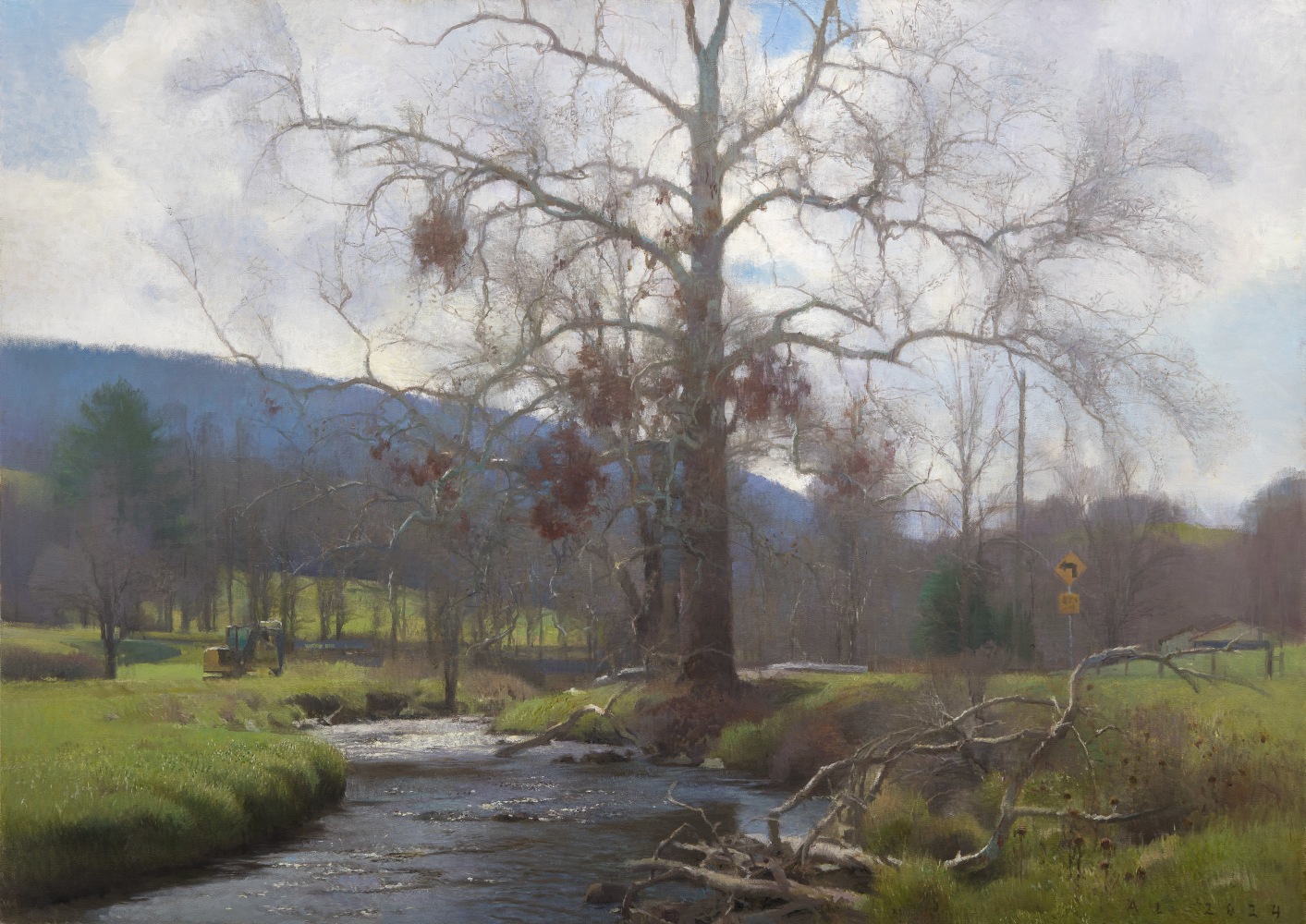 Big Sycamore  40&quot; x 56&quot;  Oil On Canvas